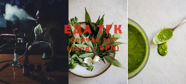 индика Чегем