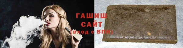 индика Чегем