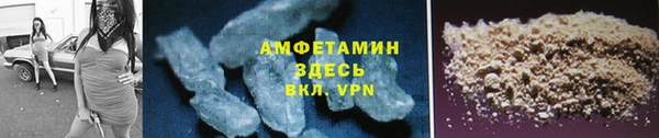 индика Чегем