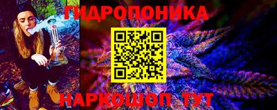 шишки Краснокаменск