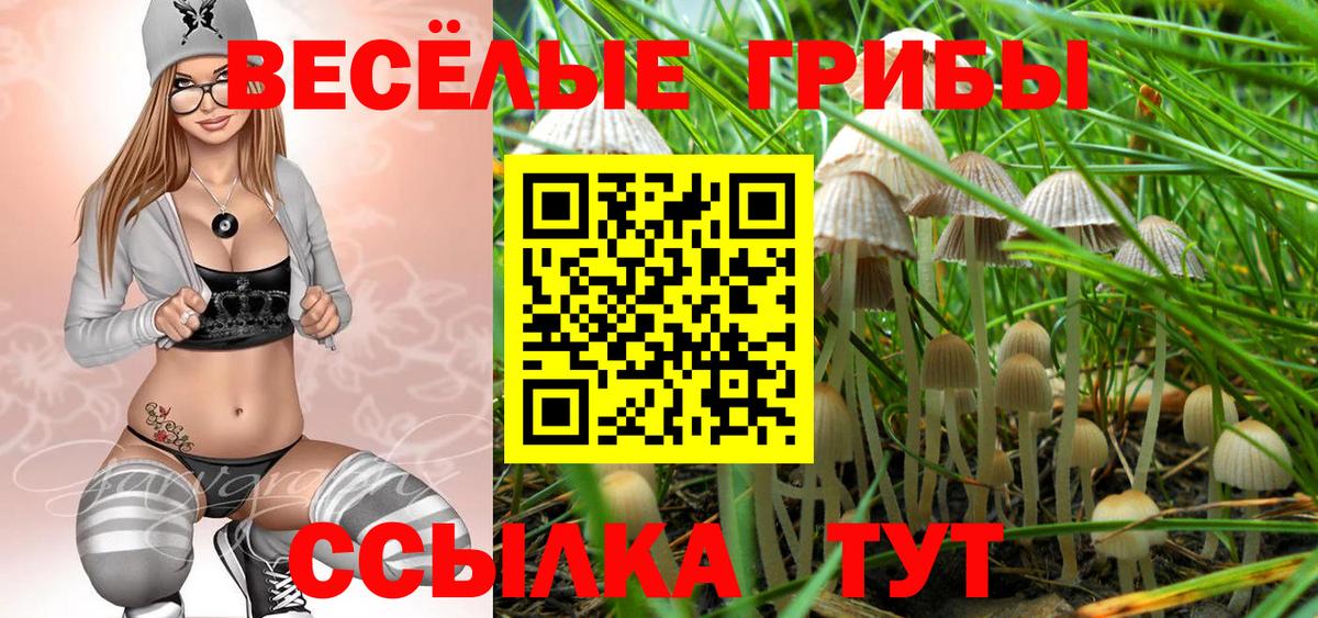 Галлюциногенные грибы прущие грибы Тара