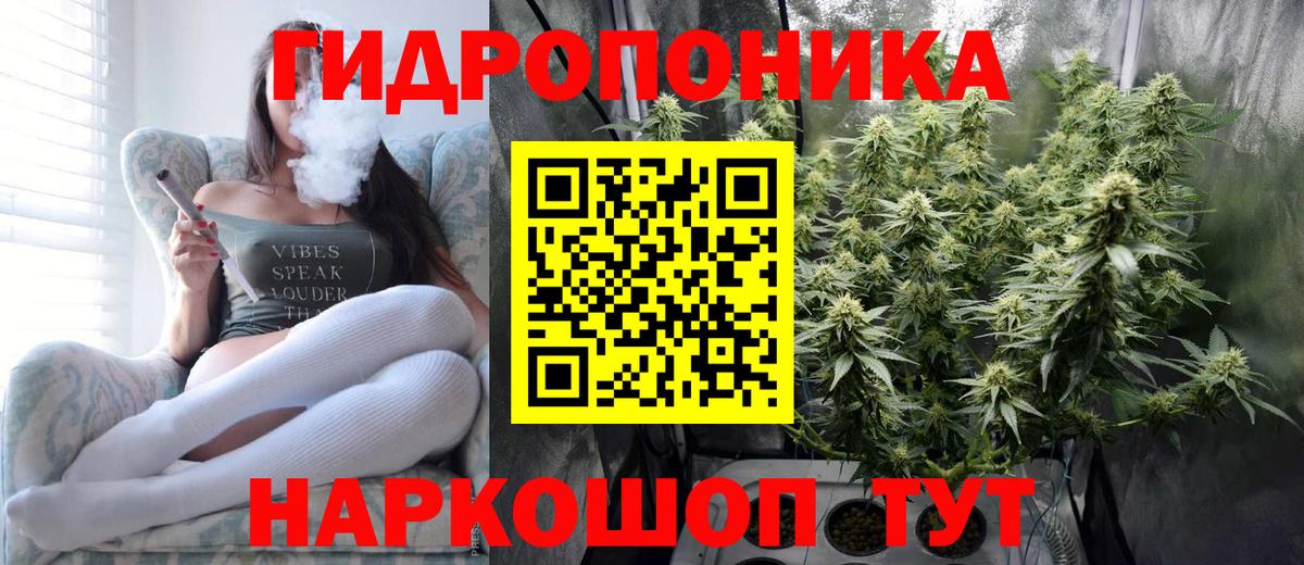 Тара  Бошки Шишки план  Шишки марихуана индика  Каннабис LSD WEED  Вход с VPN 